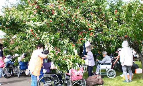 札幌のもの忘れ外来なら札幌立花病院。札幌市手稲区にある長期療養型施設です。慢性期や高齢、老人の患者さまにも安心して過ごせる環境を提供しています。