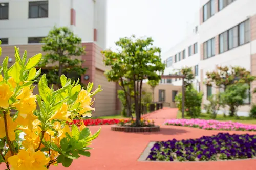 札幌のもの忘れ外来なら札幌立花病院。札幌市手稲区にある長期療養型施設です。慢性期や高齢、老人の患者さまにも安心して過ごせる環境を提供しています。